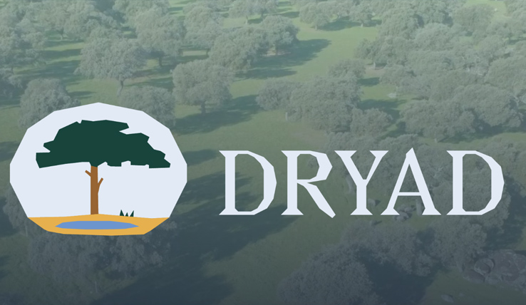 CCDR Alentejo, I.P. participa na primeira reunião do projeto DRYAD